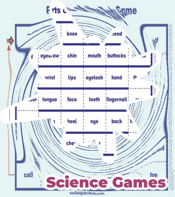 Body games